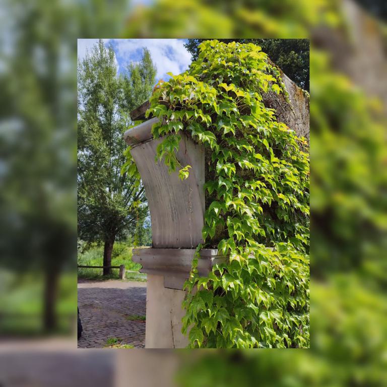 Das Brunntor von Heinrich Glas