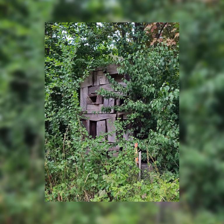 Durchblicke - Ein Gemeinschaftsprojekt von Stefan Link, Hans Baumer und Herta Wimmer-Knorr