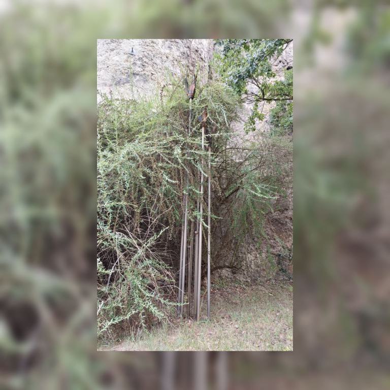 Konkurrierende Höhen von Manfred Heller