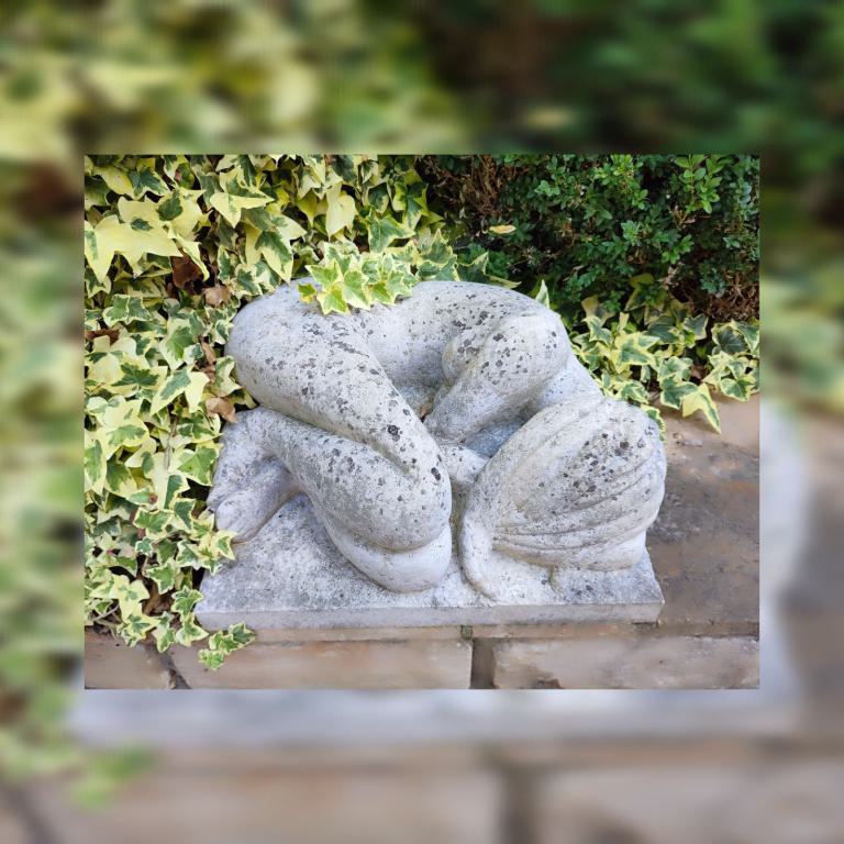 Die Schlafende von Carola Baumbach-Seifert