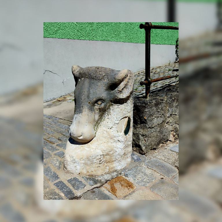 Der Stierkopf von Albert Scholz