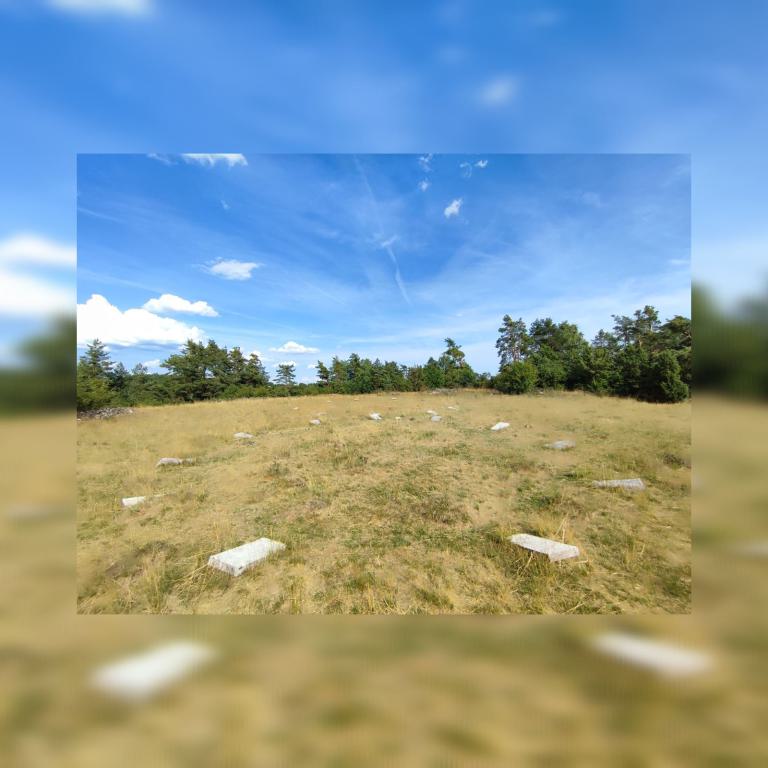 Die Tarotkarten von Hans Baumer