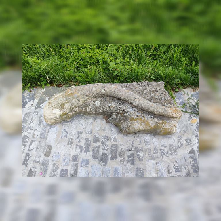 Der Waller von Albert Scholz