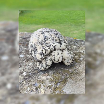 Figuren der Arche - hier eine Schildkröte - von Gisela Walch