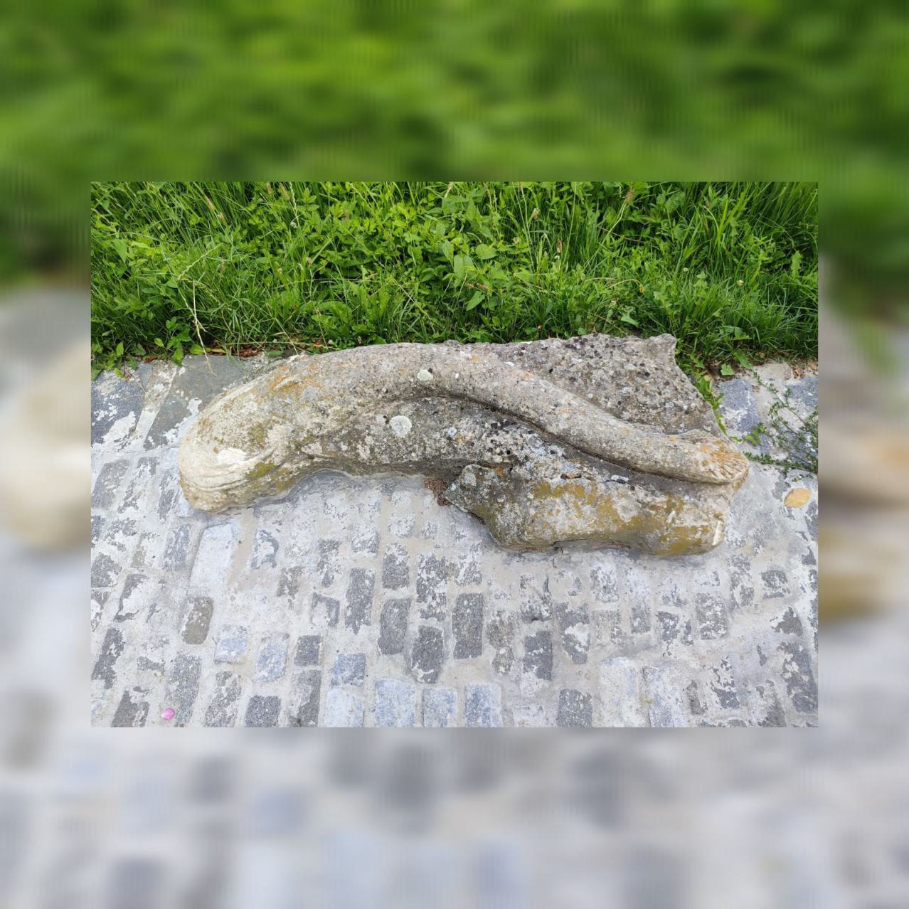 Der Waller von Albert Scholz